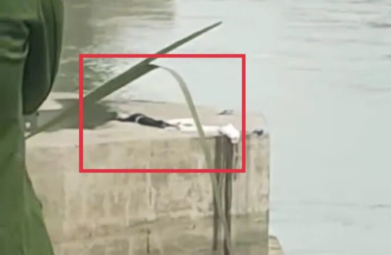 VIDEO: Sợ quá đi, không biết nhảy Cầu tắm sông hay 44